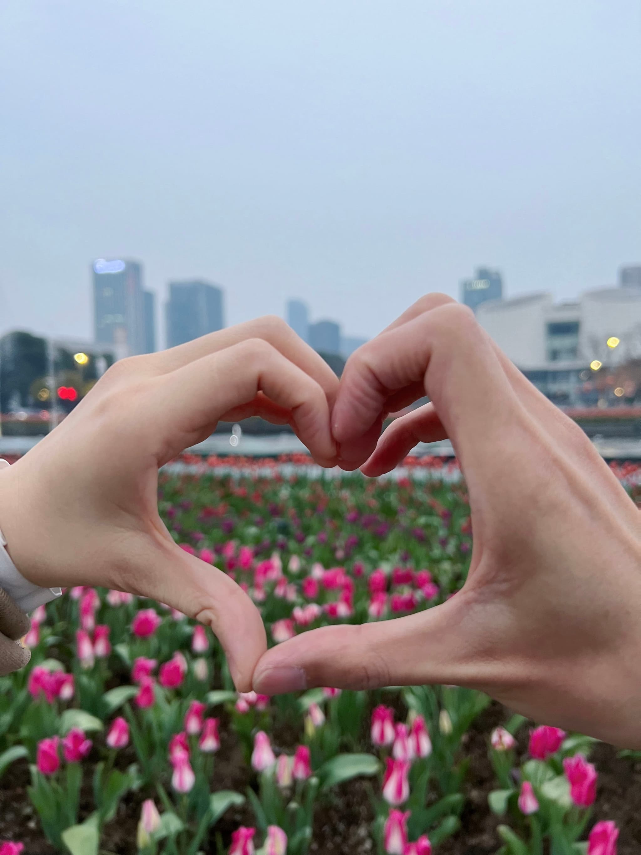 🧡LOVE